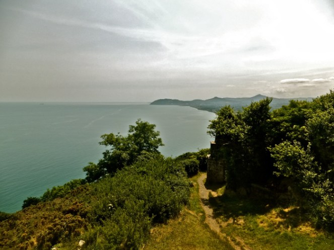 Source: Craig Considine